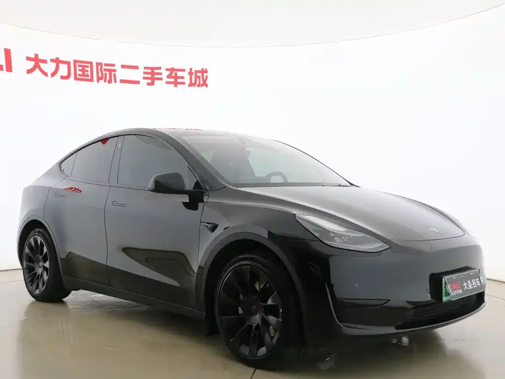 Tesla Model Y — фото 9
