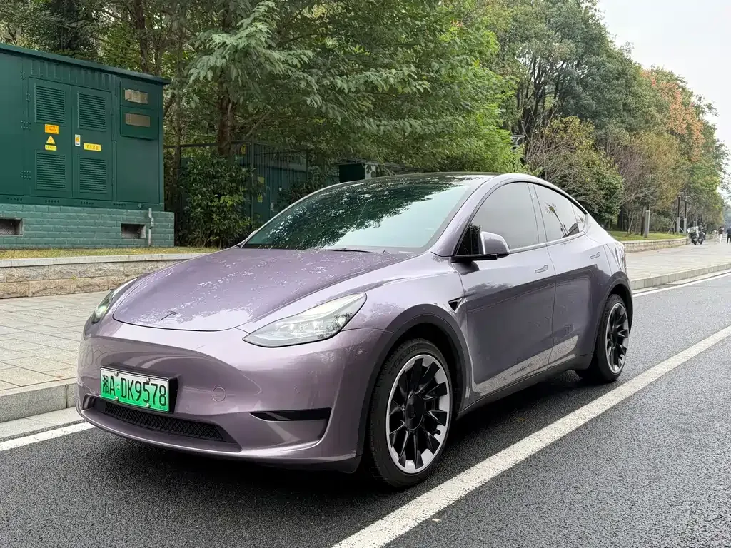 Tesla Model Y — фото 1
