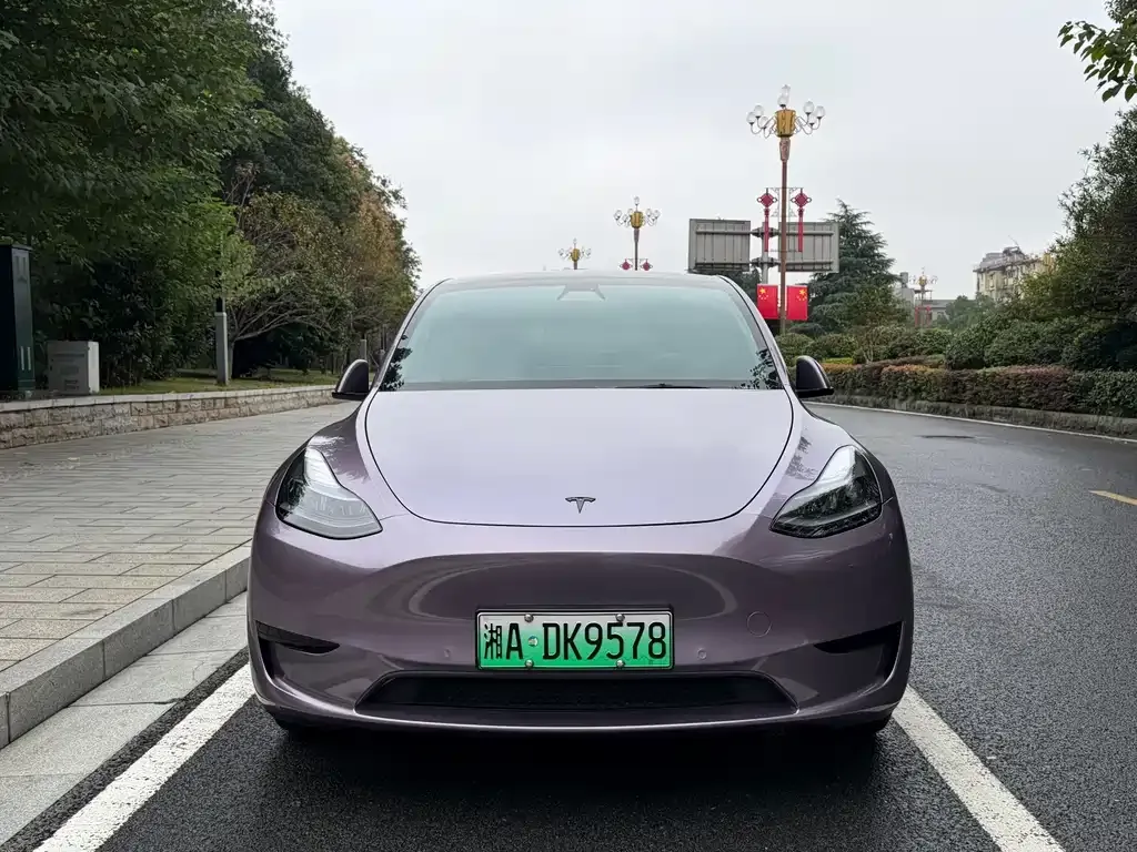 Tesla Model Y — фото 5