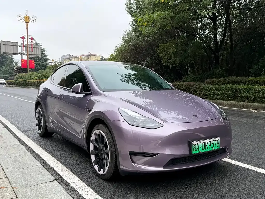 Tesla Model Y — фото 7