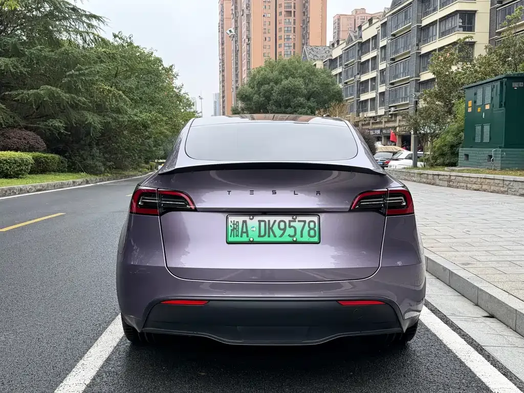 Tesla Model Y — фото 6