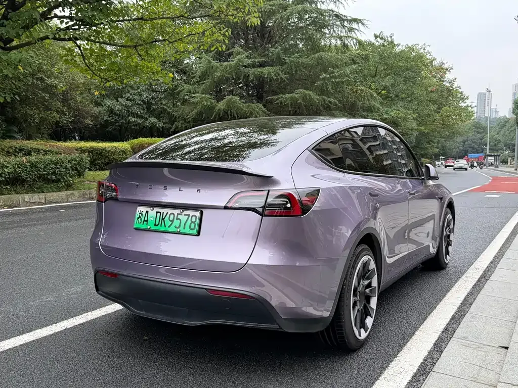 Tesla Model Y — фото 9