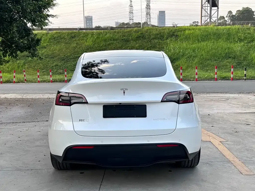 Tesla Model Y — фото 3