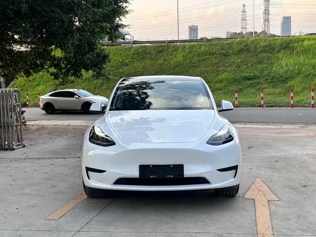 Tesla Model Y — фото 5
