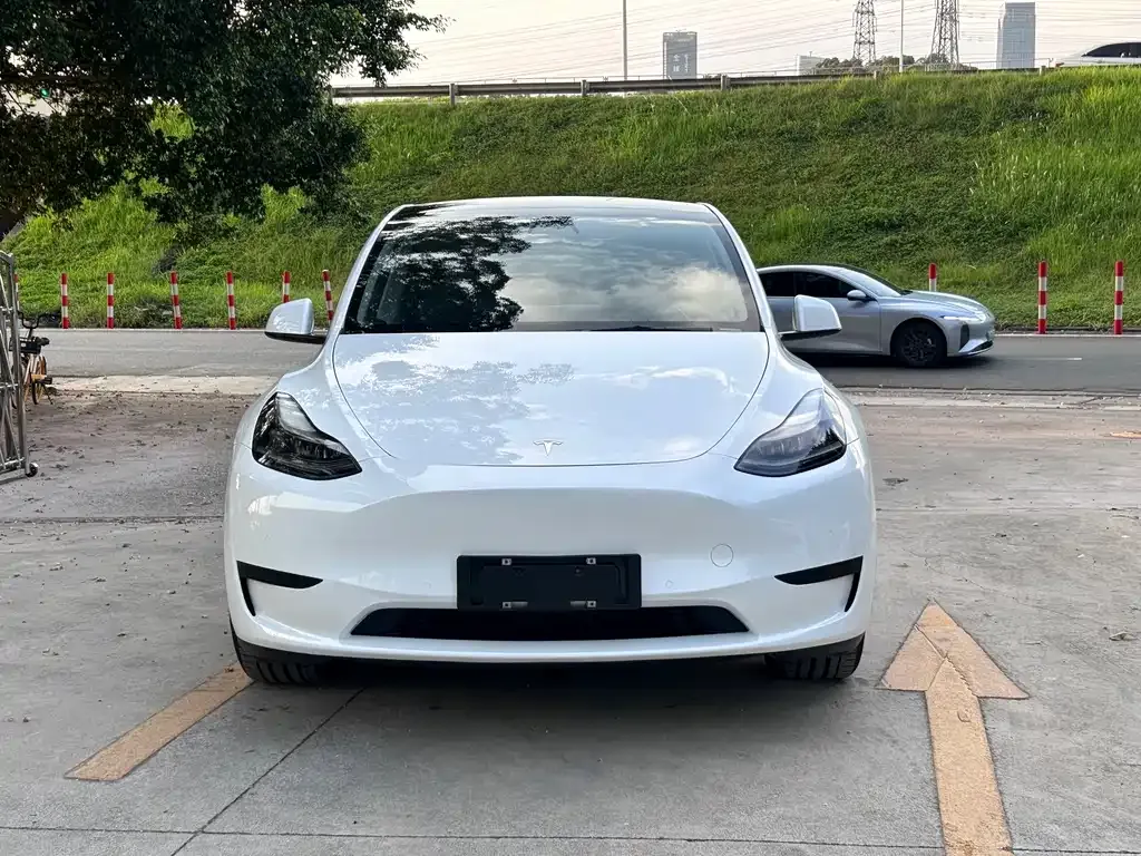 Tesla Model Y — фото 8
