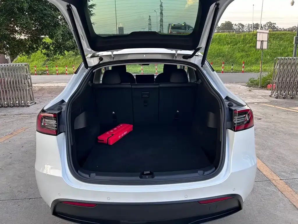 Tesla Model Y — фото 6