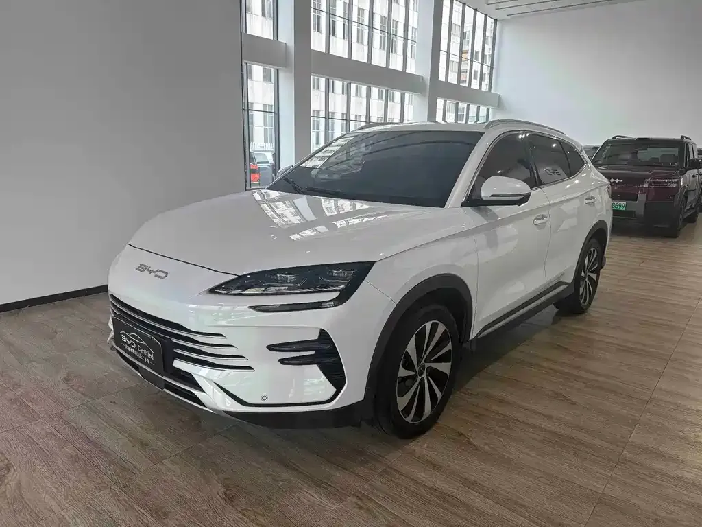 BYD PLUS New Energy — фото 1