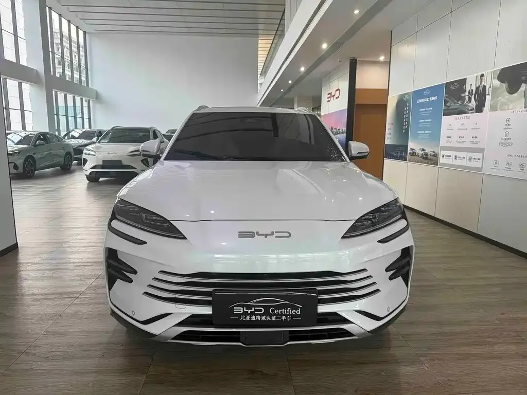 BYD PLUS New Energy — фото 2