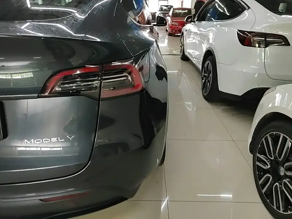 Tesla Model Y — фото 3