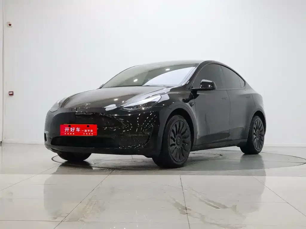 Tesla Model Y — фото 1