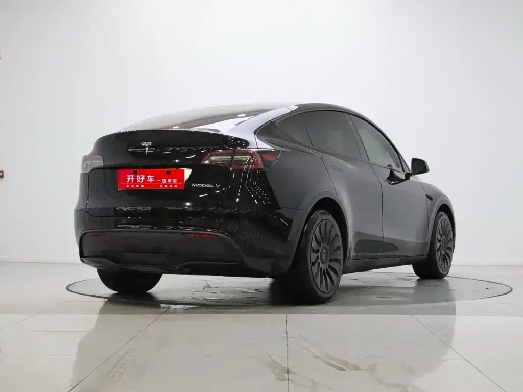 Tesla Model Y — фото 10