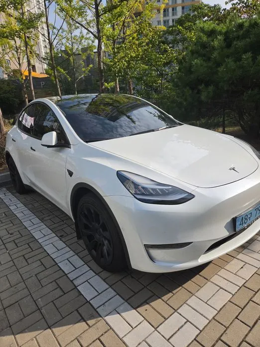 Tesla Model Y — фото 8