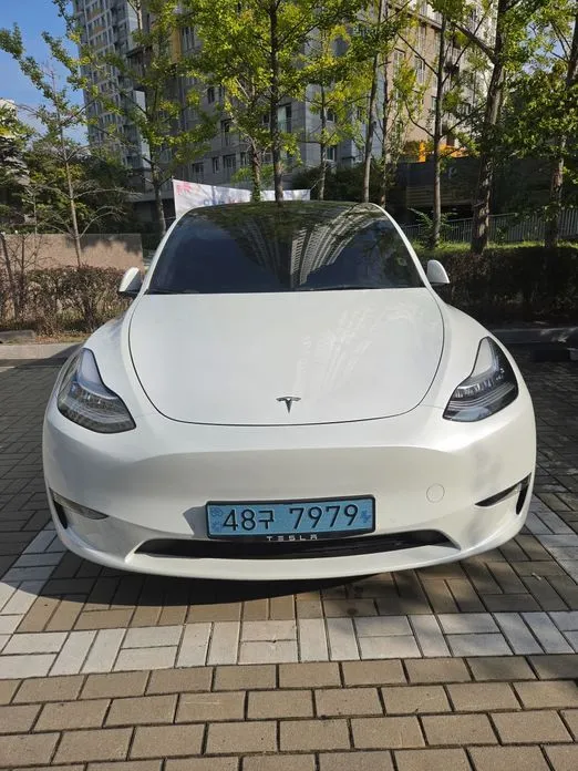 Tesla Model Y — фото 10