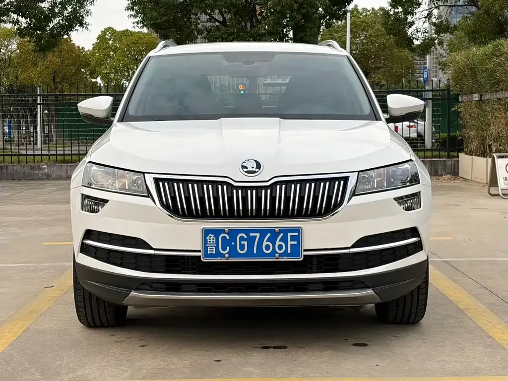 Skoda Karoq — фото 7