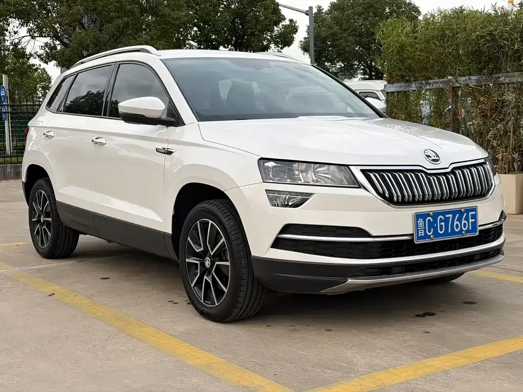 Skoda Karoq — фото 8