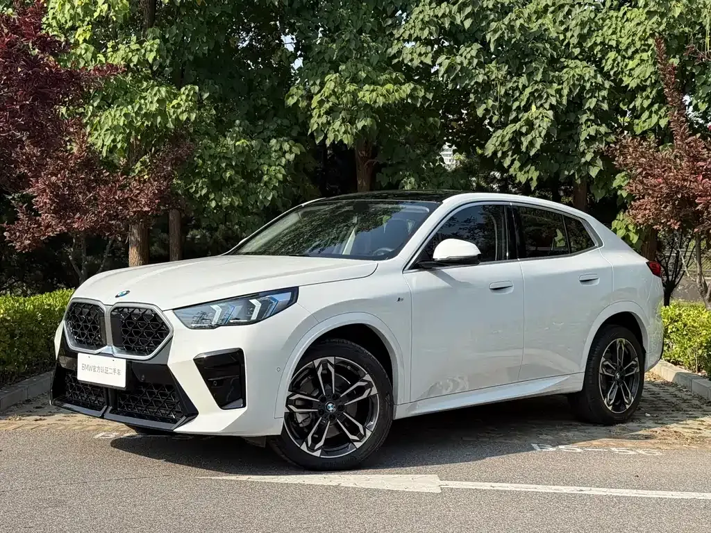 BMW X2 (Import) — фото 1