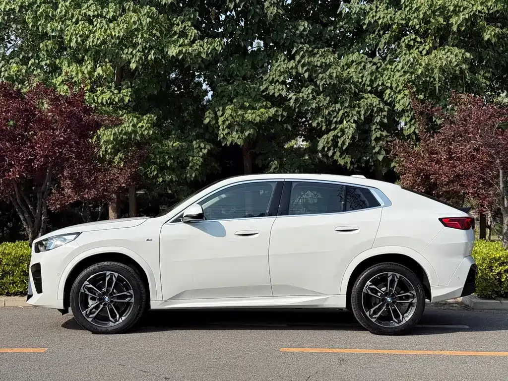 BMW X2 (Import) — фото 6