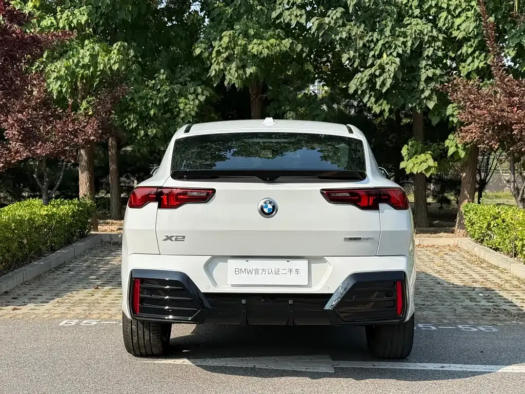 BMW X2 (Import) — фото 8