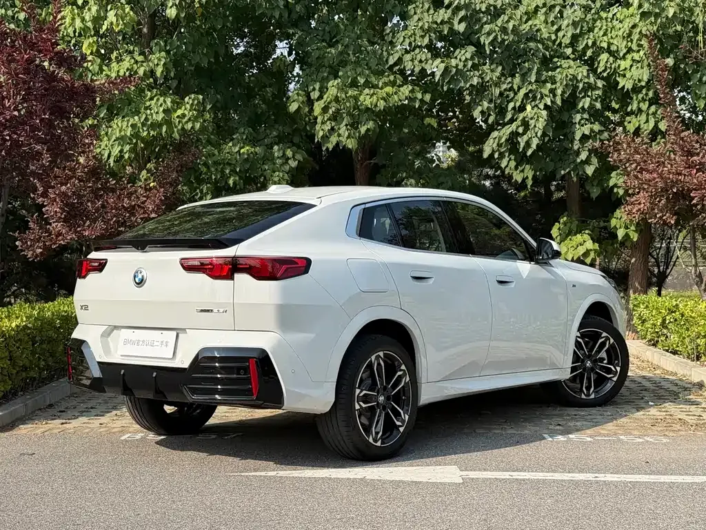 BMW X2 (Import) — фото 5