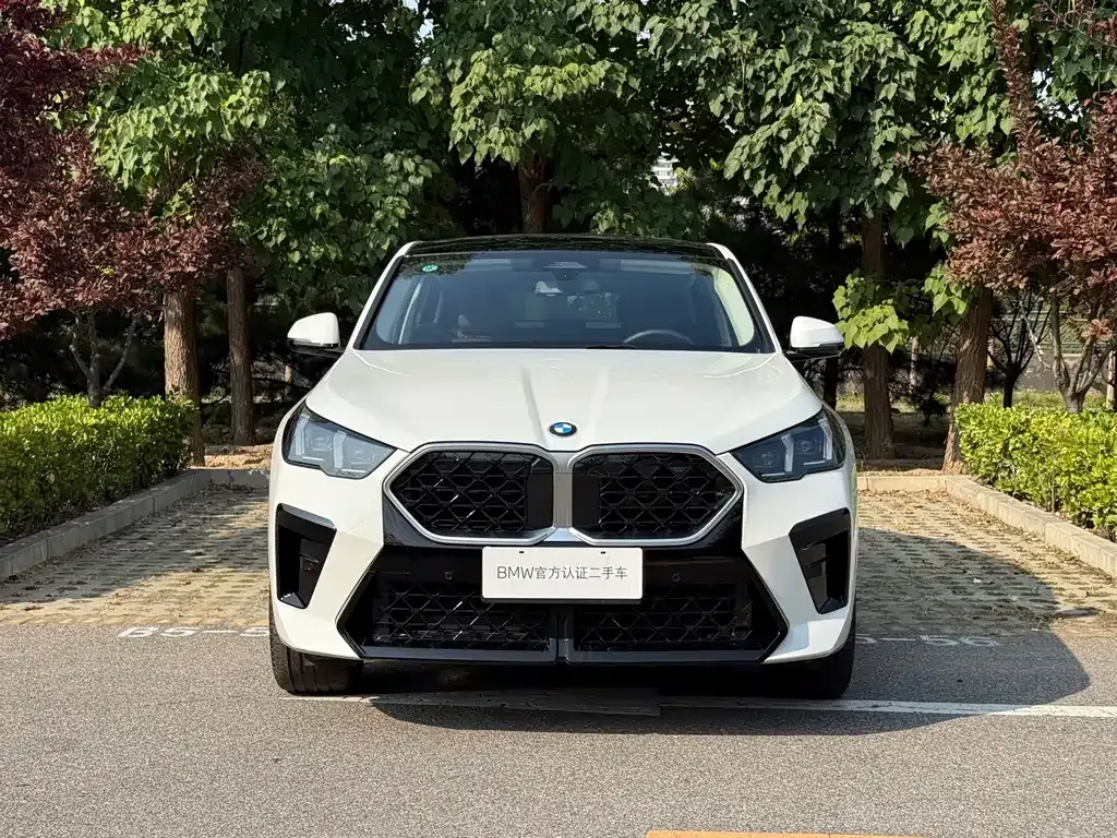 BMW X2 (Import) — фото 10