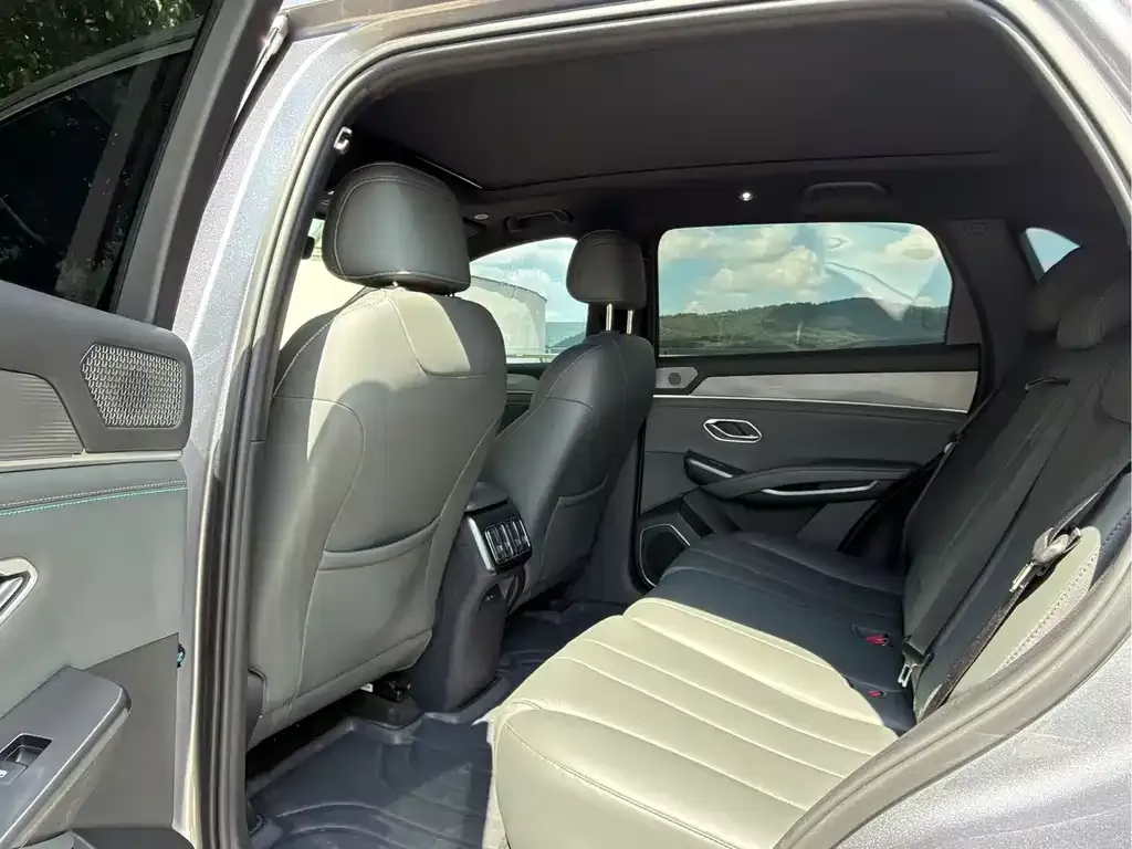 BYD L DM-i — фото 2