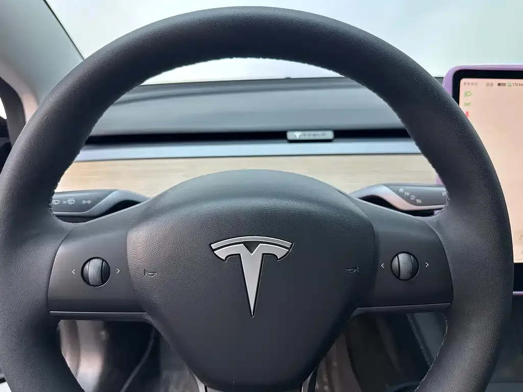 Tesla Model 3 — фото 6