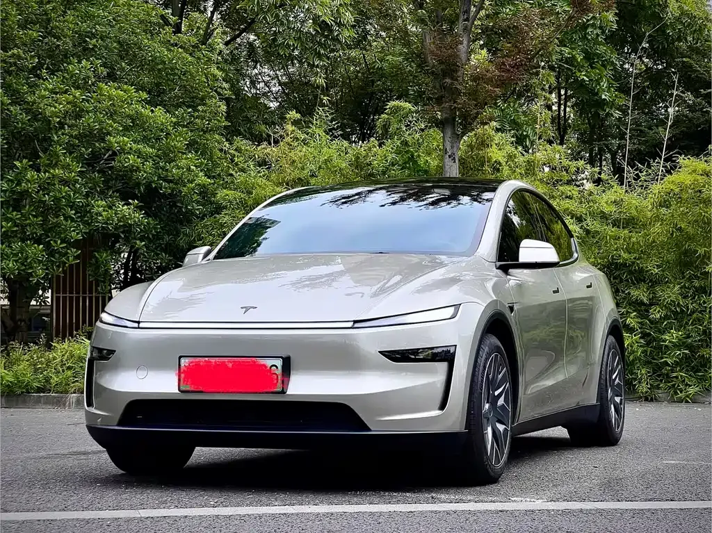 Tesla Model Y L — фото 1