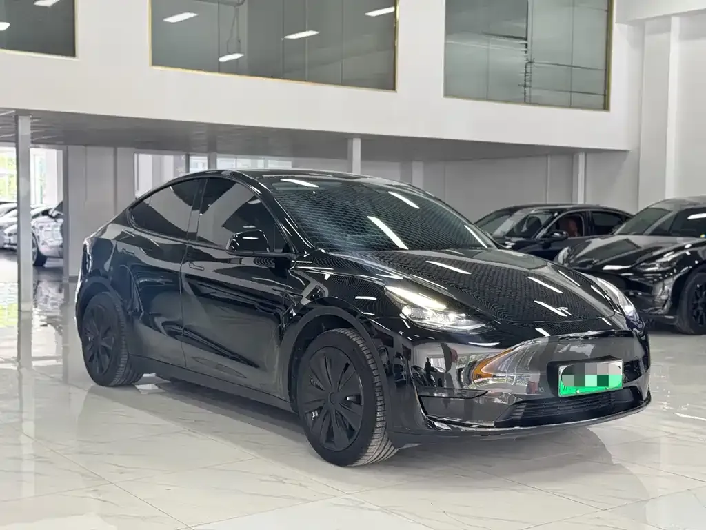 Tesla Model Y — фото 2