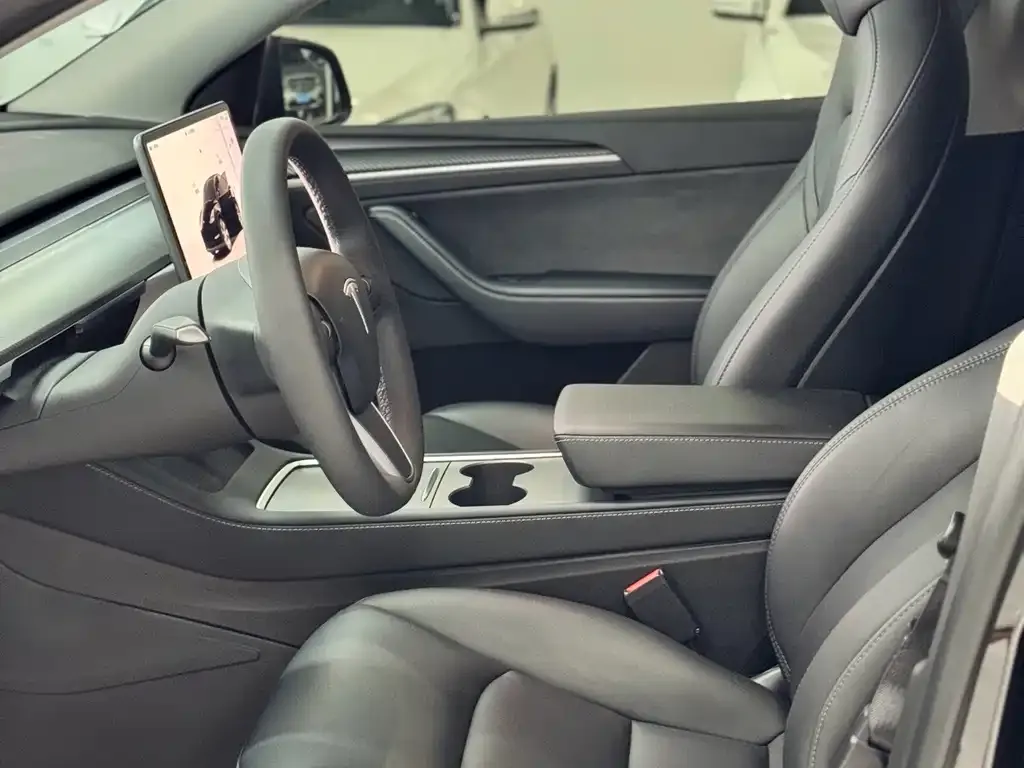 Tesla Model Y — фото 8