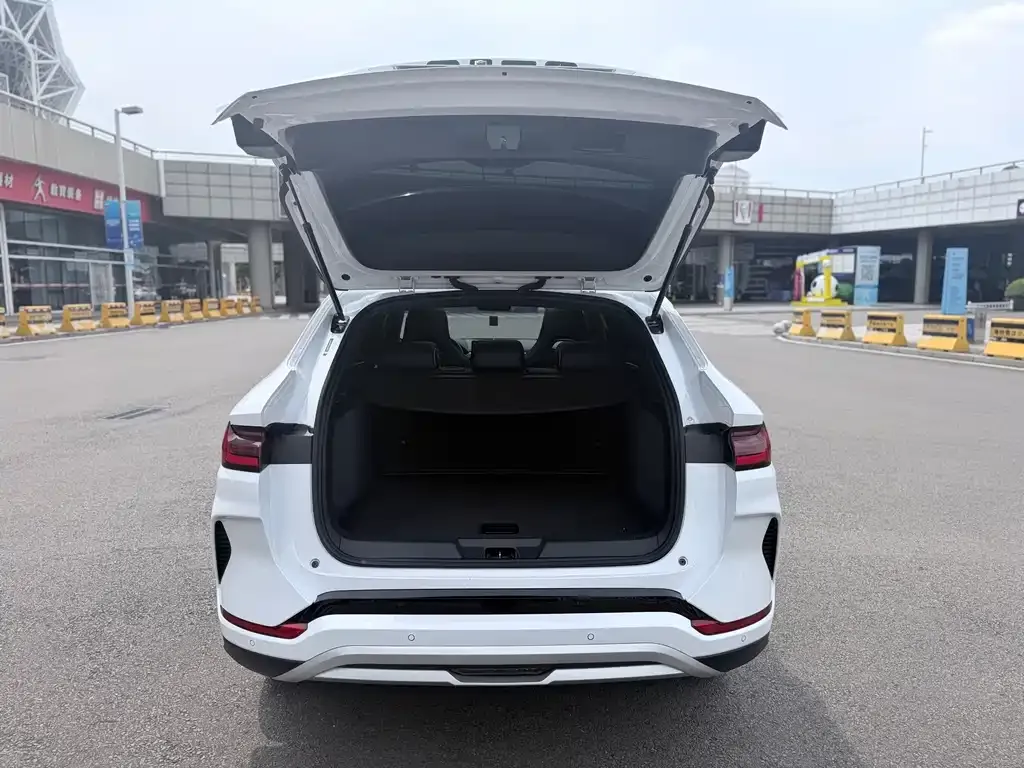 BYD PLUS New Energy — фото 2