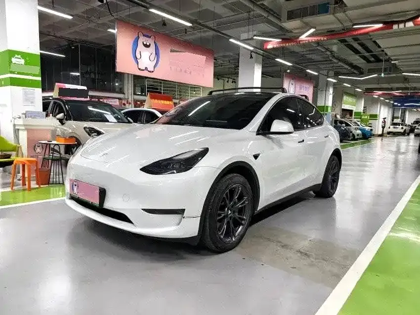 Tesla Model Y — фото 1