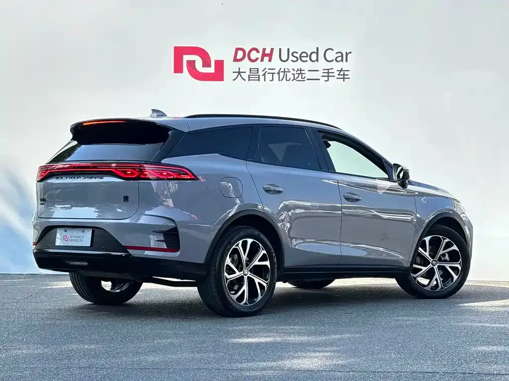BYD Tang New Energy — фото 6