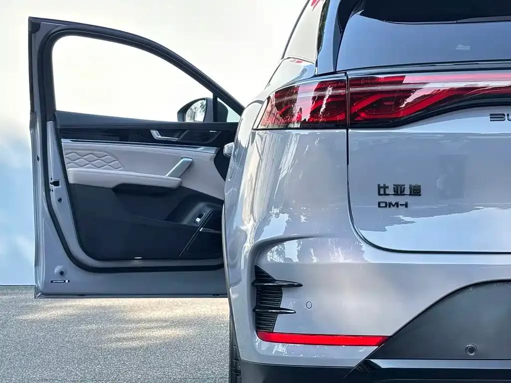 BYD Tang New Energy — фото 10