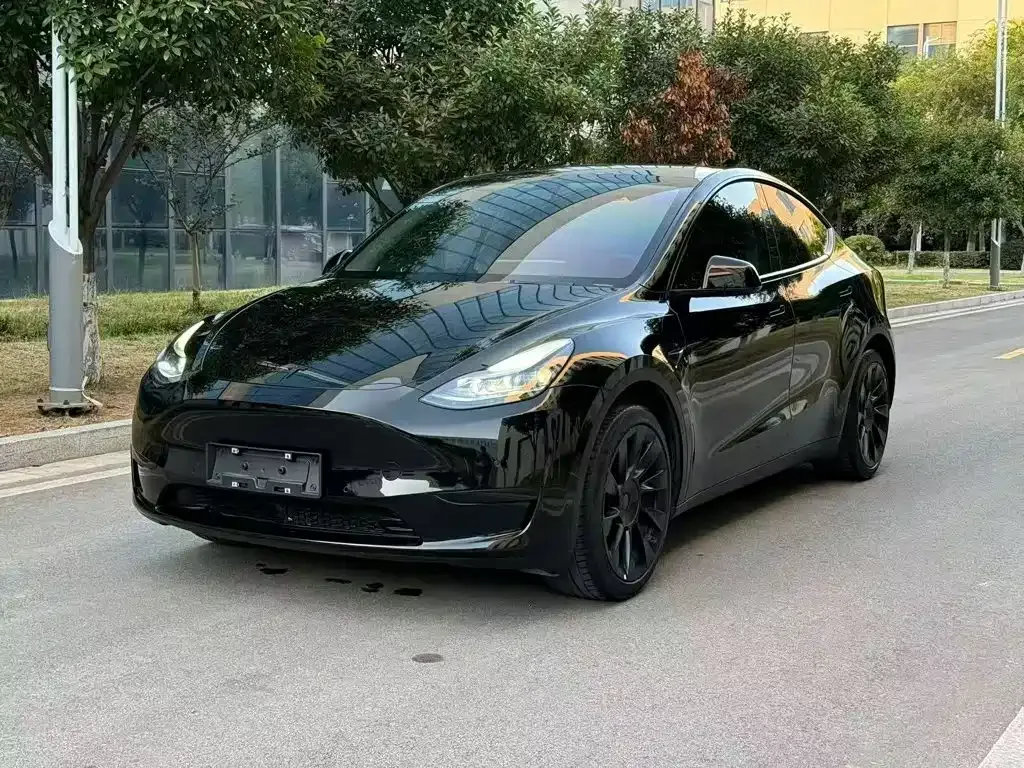 Tesla Model Y — фото 5