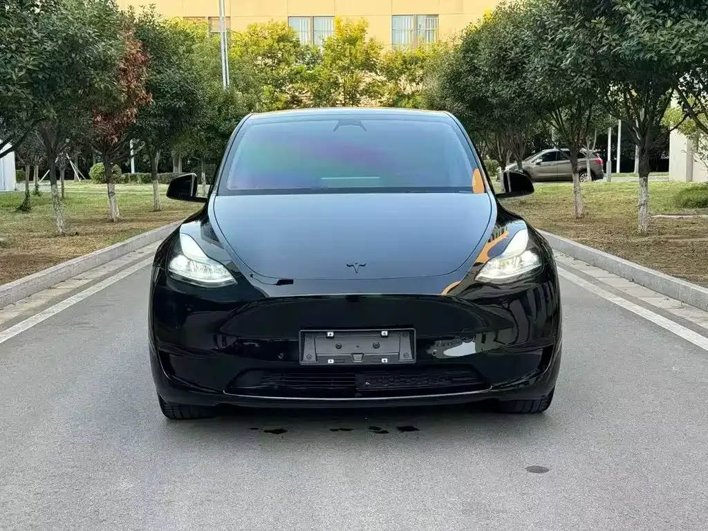 Tesla Model Y — фото 9