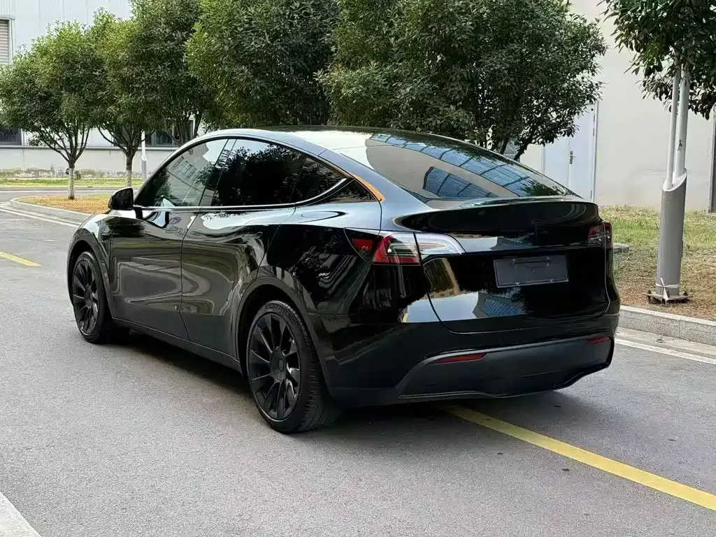 Tesla Model Y — фото 10