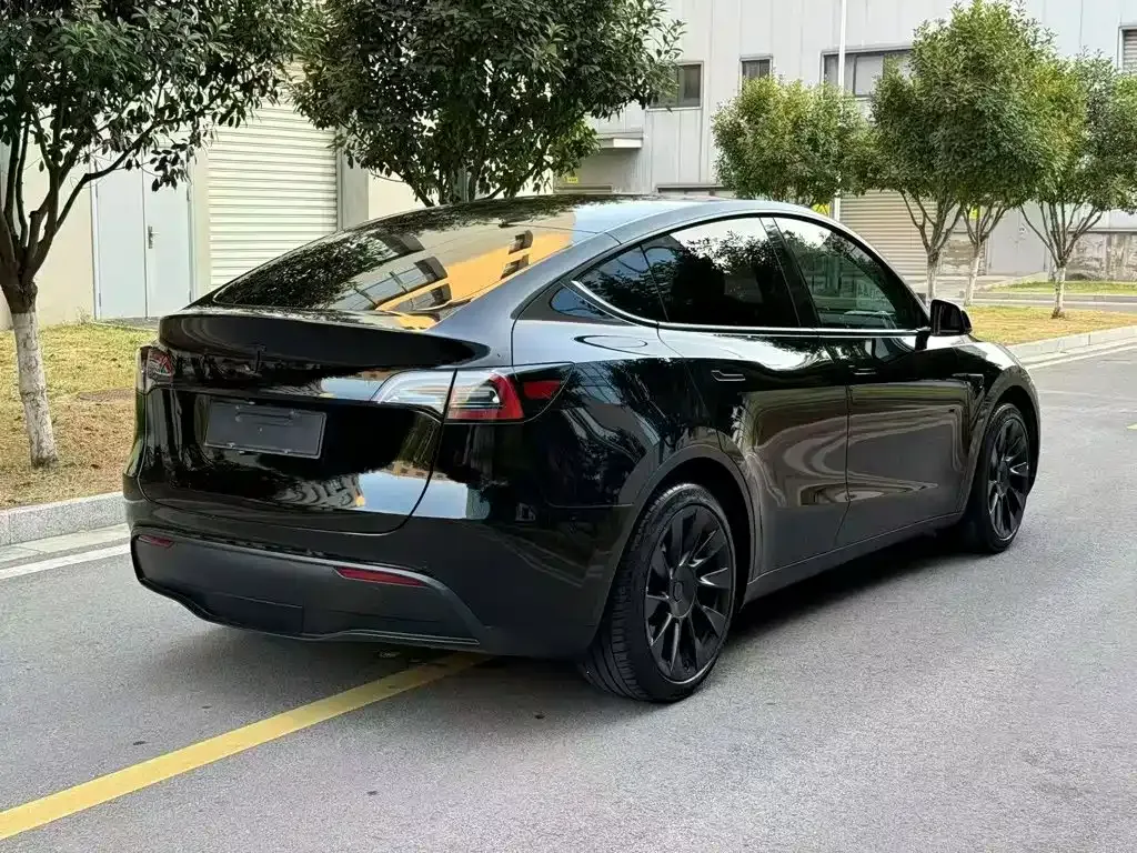 Tesla Model Y — фото 6