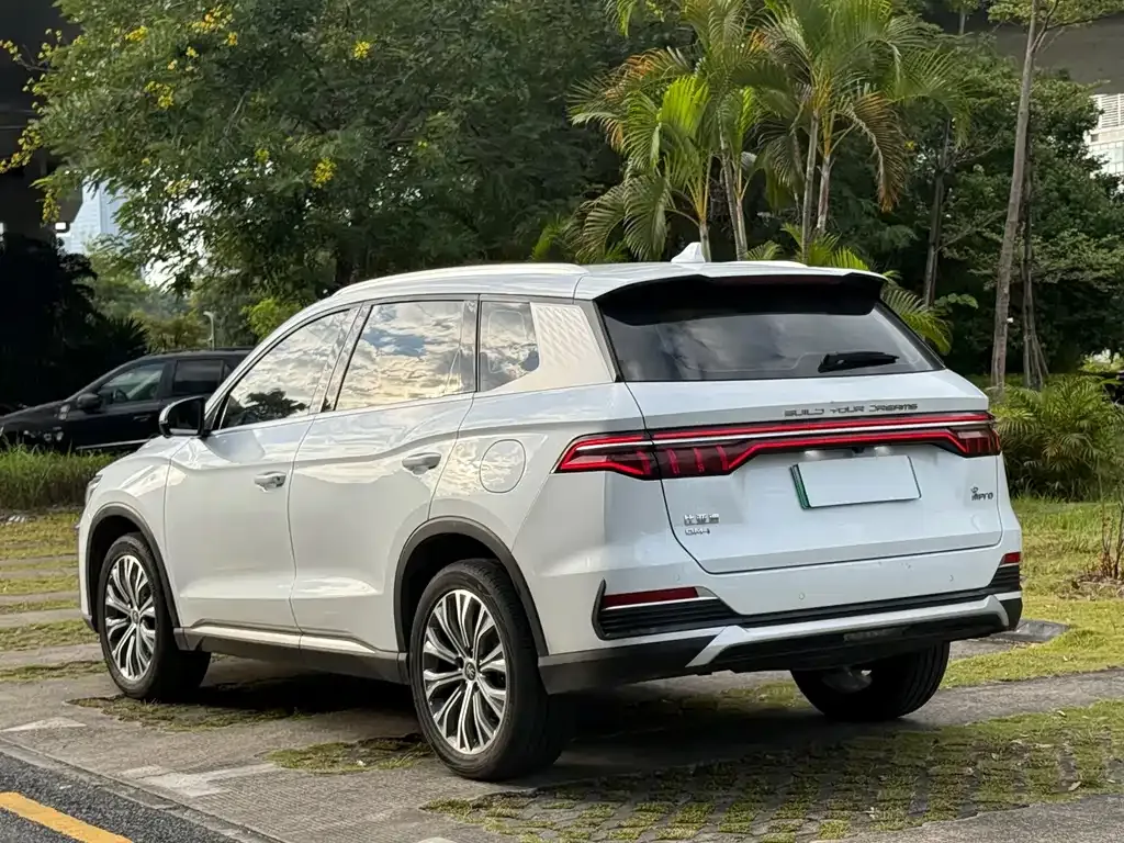 BYD Pro New Energy — фото 8