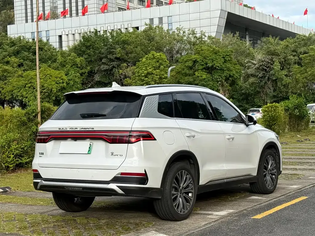 BYD Pro New Energy — фото 9