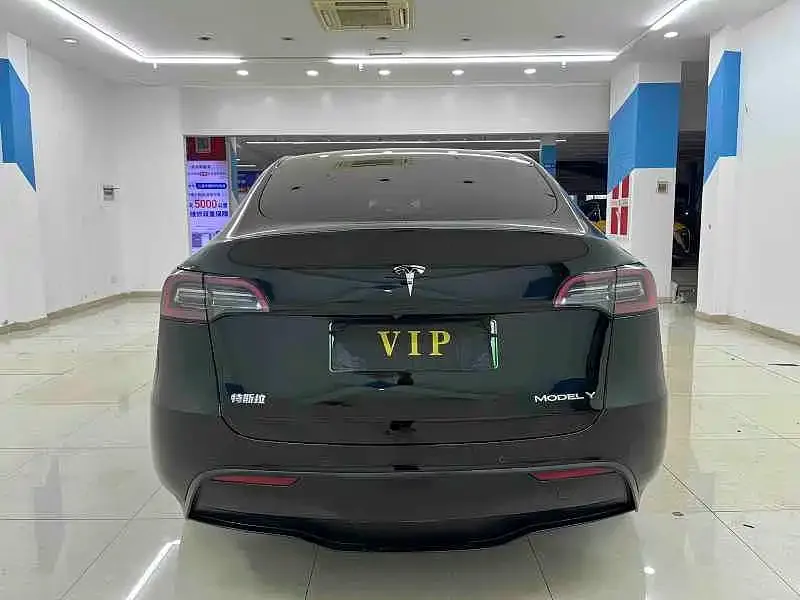 Tesla Model Y — фото 2