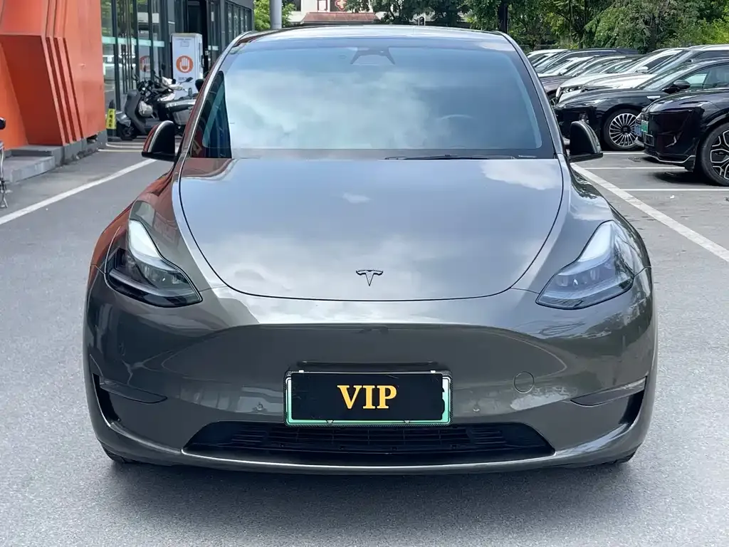 Tesla Model Y — фото 5