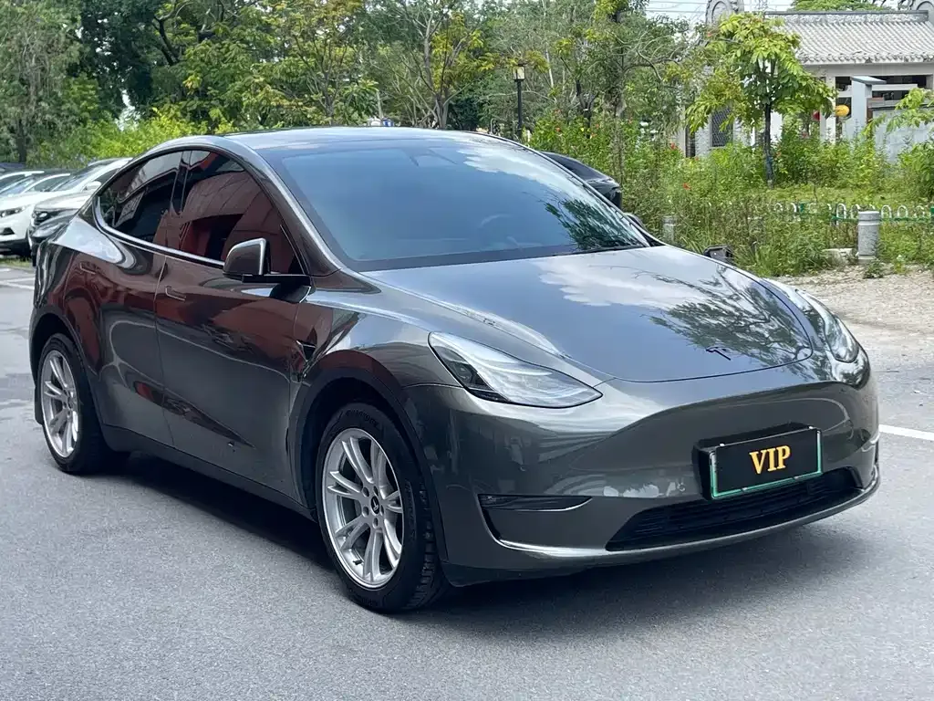 Tesla Model Y — фото 10