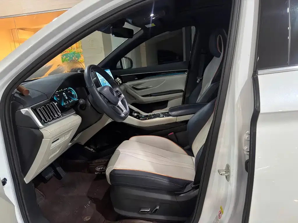 BYD PLUS New Energy — фото 10