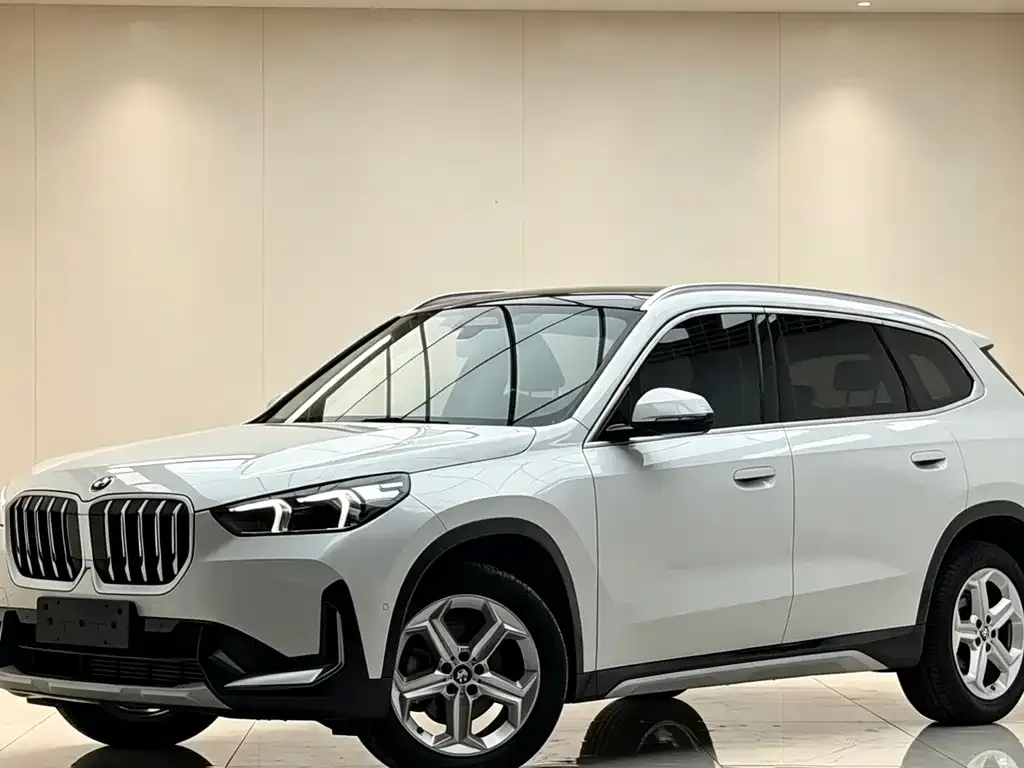 BMW X1 — фото 1
