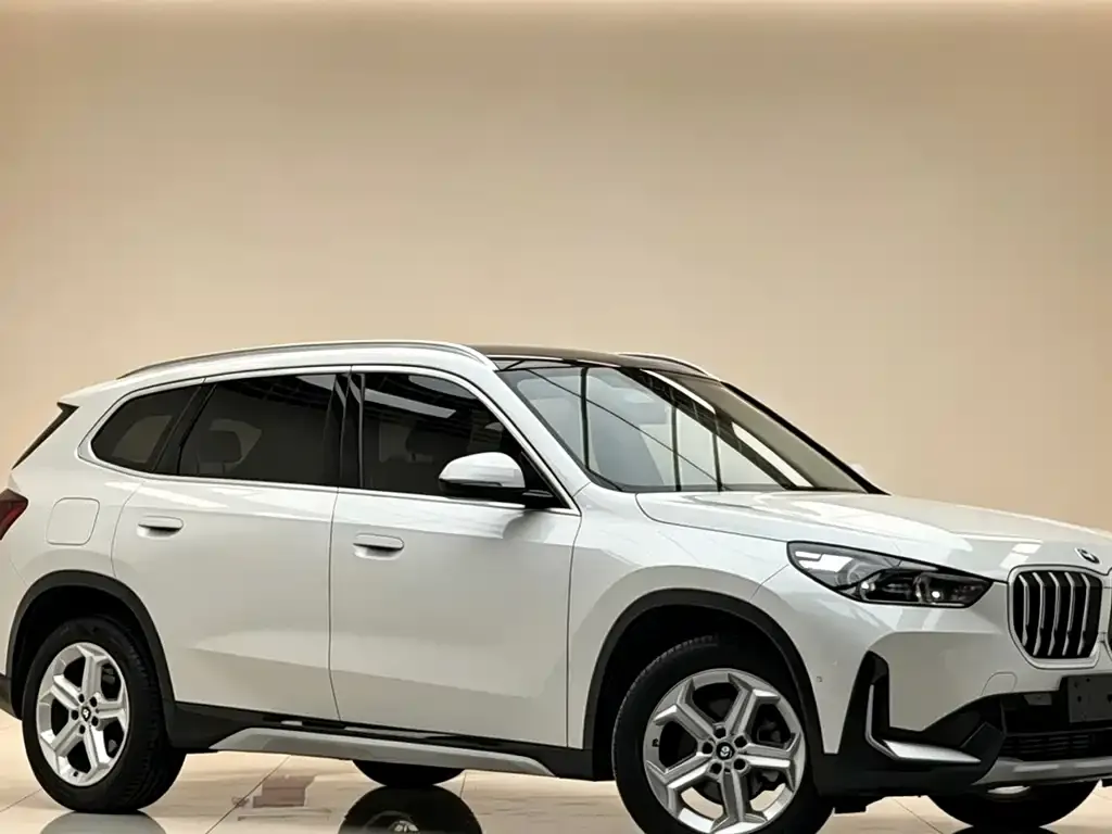 BMW X1 — фото 4