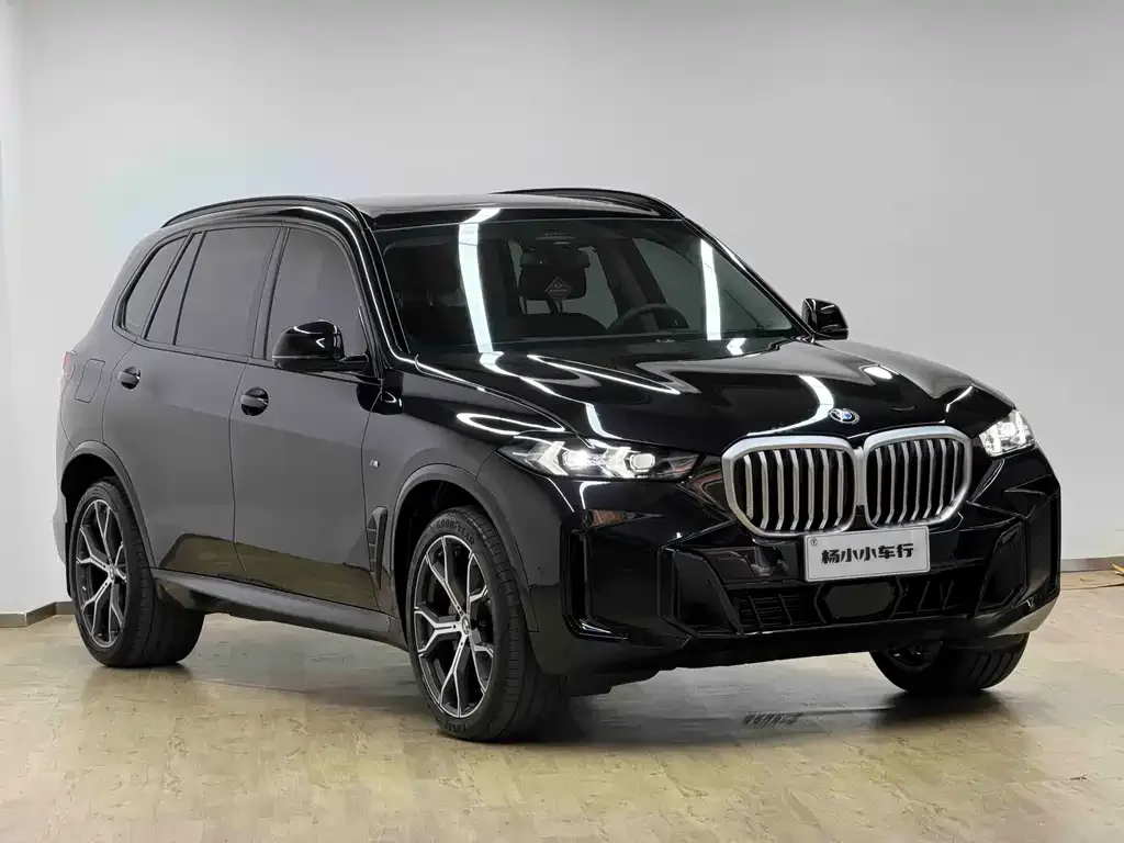 BMW X5 — фото 10