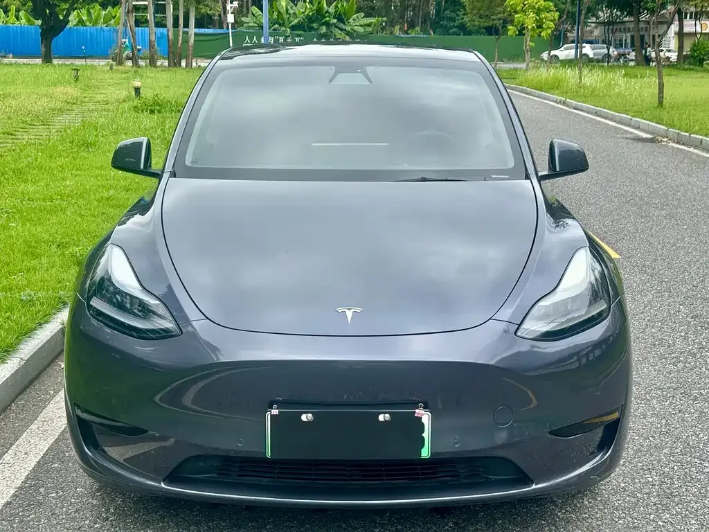 Tesla Model Y — фото 7
