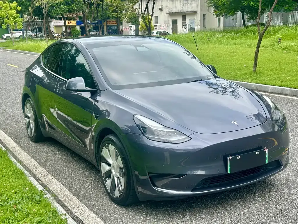 Tesla Model Y — фото 10