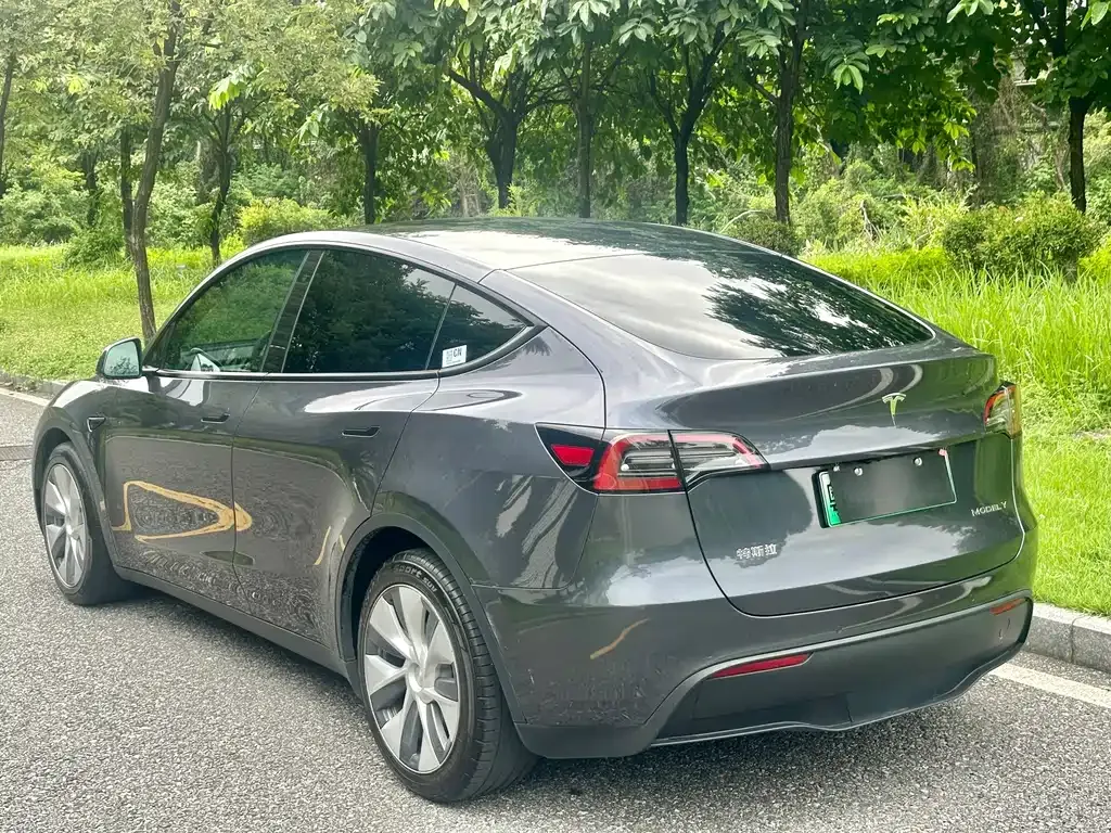 Tesla Model Y — фото 9