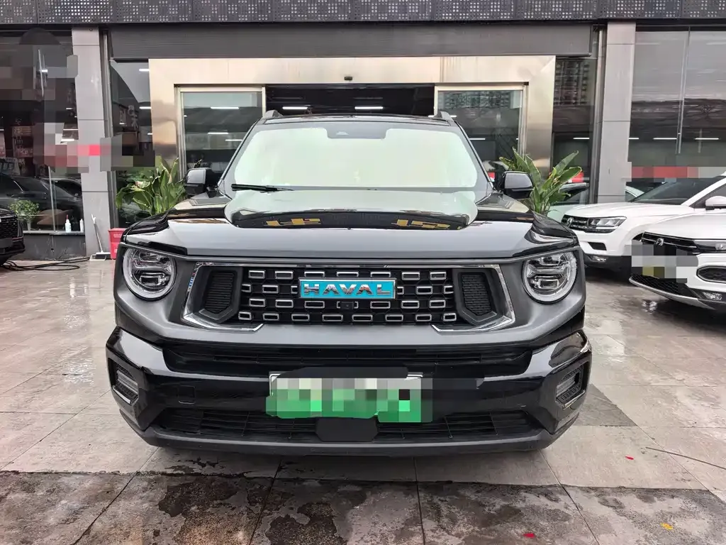 Haval Big Dog PLUS New Energy — фото 7